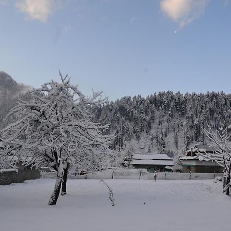 West End Lodges Neelum Extérieur photo
